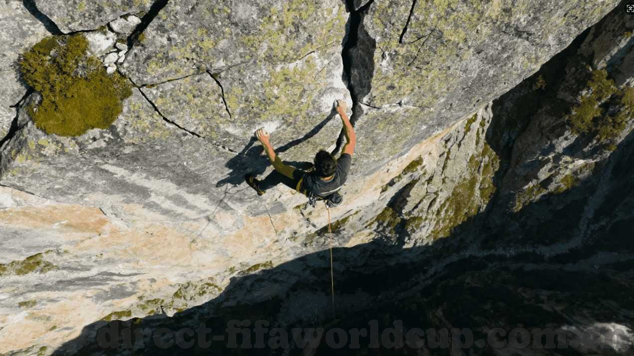 世界杯德国和韩国彩票-世界杯德国与韩国，彩票背后的故事